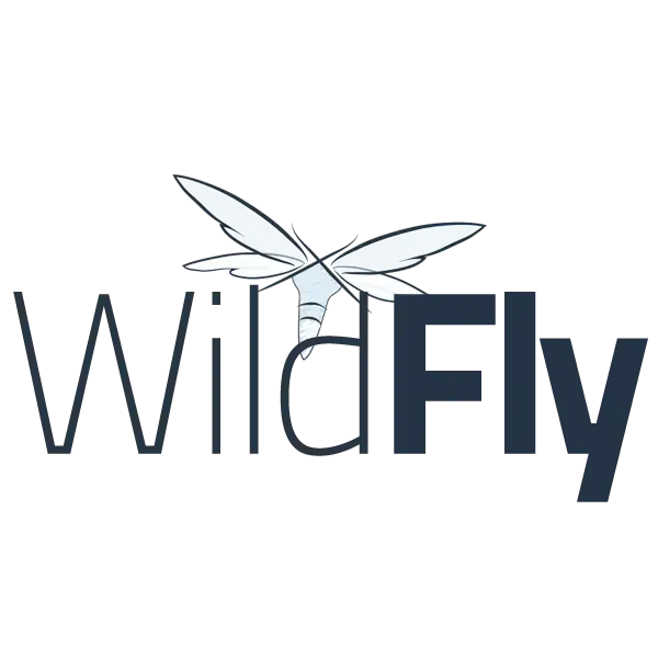 Official WildFly logo — the open-source application server for agile enterprise solutions.