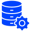 Indosoft icon for data management