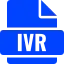 indosoft icon for ivt