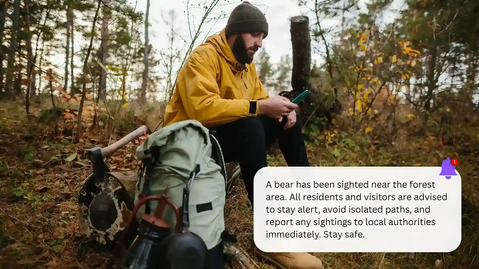 Traveler in the woods reading a bulk SMS emergency alert on his phone. Solo traveler in a forest reading an emergency alert sent via Bulk SMS, warning residents about a nearby bear sighting.